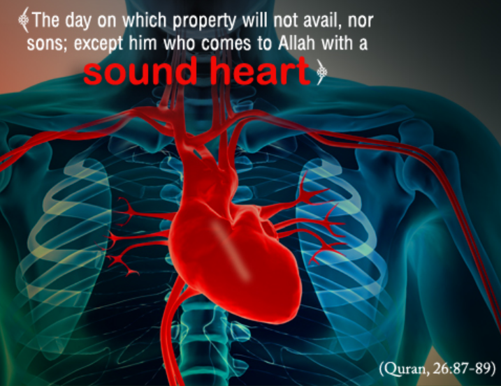 heart234