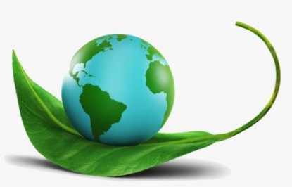 344806955 231407952817885 5881327603827888757 n