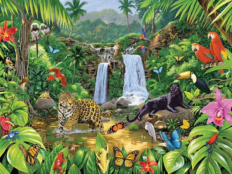 HD wallpaper animals of the jungle fall water jungle birds flowers