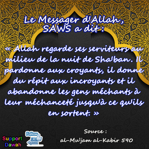 chaban33